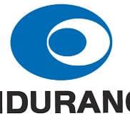 Endurance logo